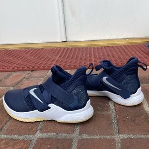 Nike LeBron Navy and White Sneakers